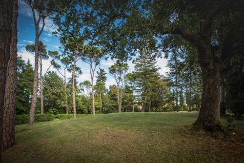 a park with trees and a large green field at Villa Anitori Prestige Relais & Spa in Loro Piceno