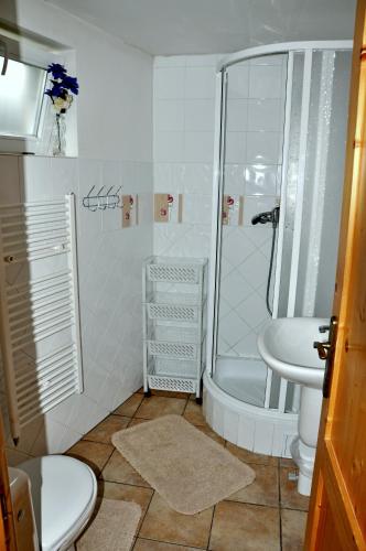 a bathroom with a shower and a toilet and a sink at Tatralandia Apartman 347 in Liptovský Mikuláš