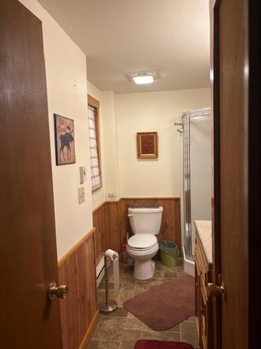 a bathroom with a toilet and a walk in shower at Northwoods Lake Content Cabin in Saint Germain