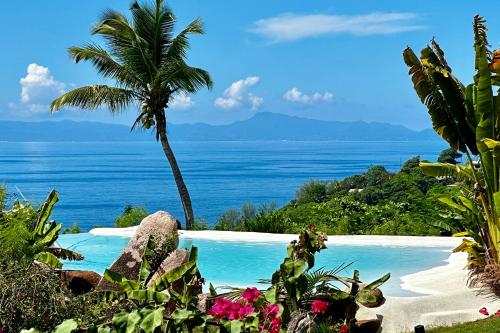 a swimming pool with a view of the ocean at Château de feuilles & SPA - Praslin island in Baie Sainte Anne