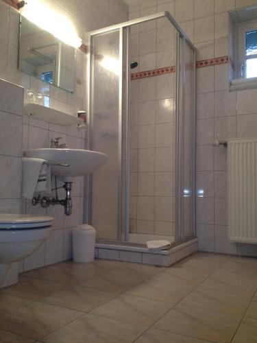 a bathroom with a shower and a sink and a toilet at Gasthaus Marienhof in Kirchdorf am Inn