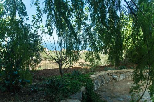 a tree in the middle of a garden at Villa Sunrise in Epáno Kefalás