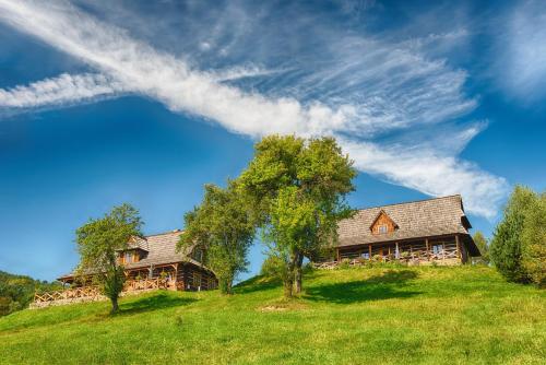 a house on top of a grassy hill at Maciejewka in Zahoczewie