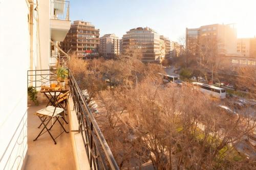 Spacious City Haven