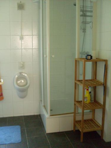 uma casa de banho com um WC, um chuveiro e um urinol em Waldblick em Arnstadt