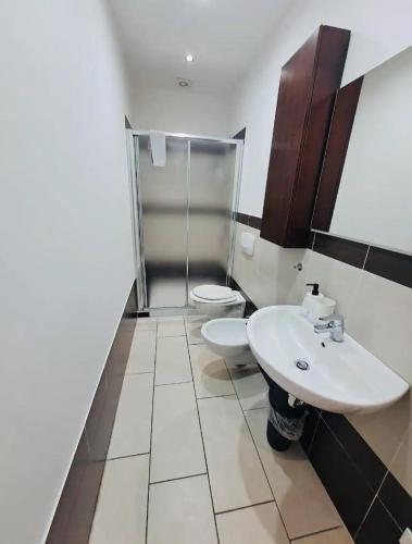 a bathroom with a sink and a toilet in it at Appartamento Valentina in Cremona