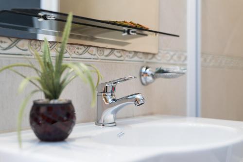 un lavabo con una planta en un jarrón. en Apart Hotel Independencia - Luz y Fuerza Patagonia, en Buenos Aires