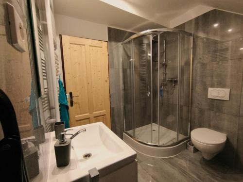 a bathroom with a shower and a sink and a toilet at Apartmány v Bývalém mlýně in Rokytnice v Orlických Horách
