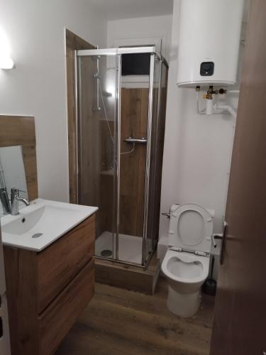 a bathroom with a shower and a toilet and a sink at Courseulles Bellevue in Courseulles-sur-Mer