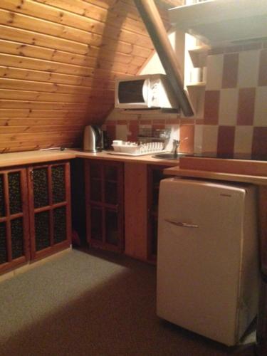 a small kitchen with a refrigerator and a microwave at Apartmánek u Špičáku in Albrechtice v Jizerských horách