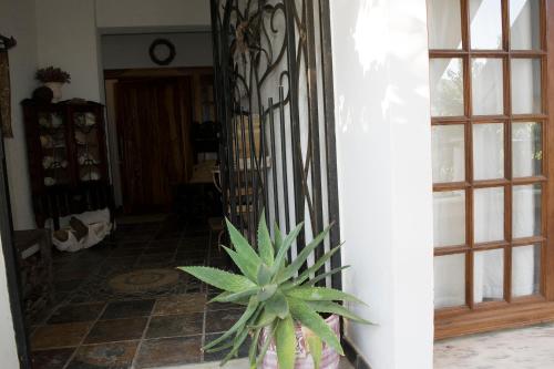 a potted plant sitting in front of a hallway at Roditses Beach Sea Front Apartments in Samos
