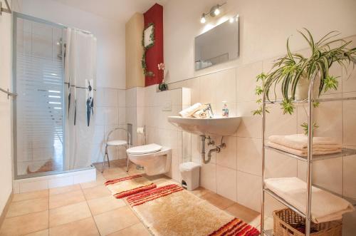 Ferienwohnung Hotter tesisinde bir banyo