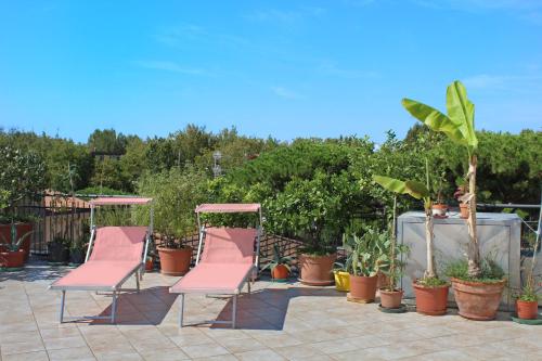 two pink chairs and potted plants on a patio at Hotel Metron in Cesenatico