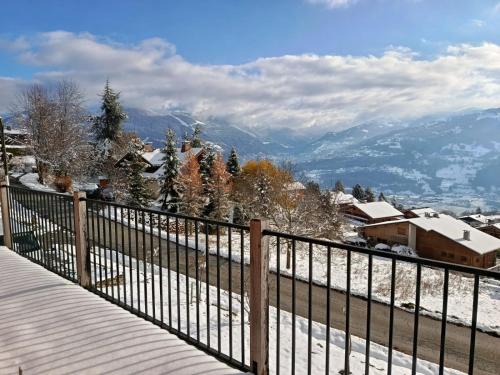 Chalet vue panoramique