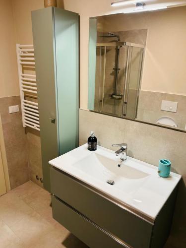 a bathroom with a sink and a mirror at Parrot House in Bertinoro