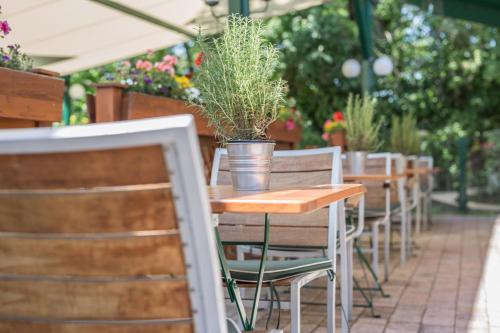 Zahrada ubytování Hotel Eitljörg