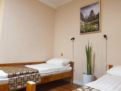 a bedroom with two beds and a cactus at Bee Happy Hostel & Gobi amazing tour in Dalandzadgad