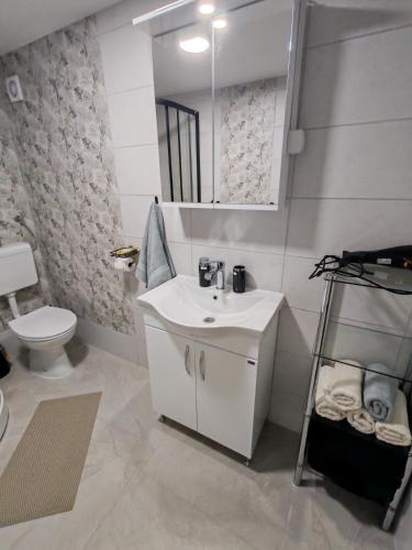 a bathroom with a sink and a toilet and a mirror at Ella1 in Sremska Kamenica