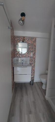 een badkamer met een wastafel en een toilet bij Studio cosy in Écouflant