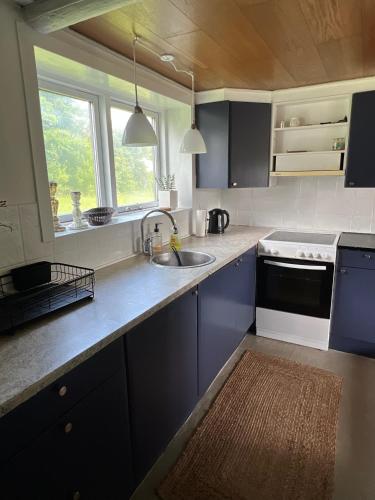a kitchen with blue cabinets and a sink at Charmerende sommerhus i fredelige omgivelser in Skorping