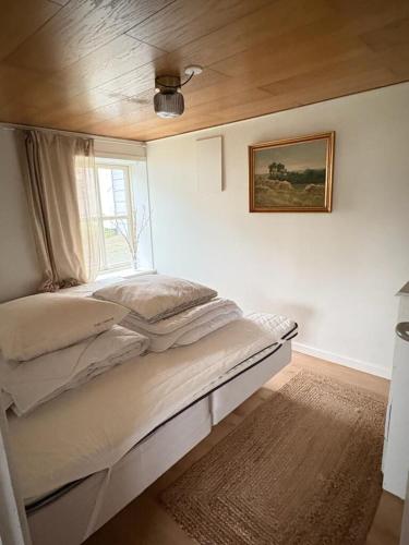 a bedroom with a large bed with a window at Charmerende sommerhus i fredelige omgivelser in Skorping
