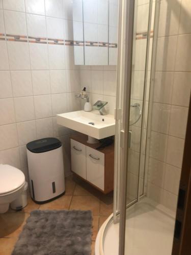 a bathroom with a sink and a shower and a toilet at Ferienwohnung Am Eichenberg in Blankenburg