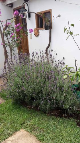 a garden with purple flowers in front of a house at Posada Guasu in Samaipata