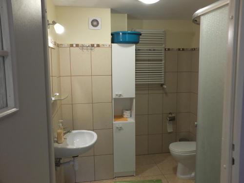 mała łazienka z toaletą i umywalką w obiekcie Dwór Klewiny w mieście Klewiny