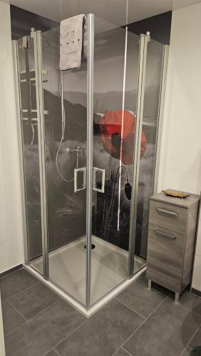 a shower with a glass enclosure in a bathroom at Moni's Ferienwohnung in Hammelburg