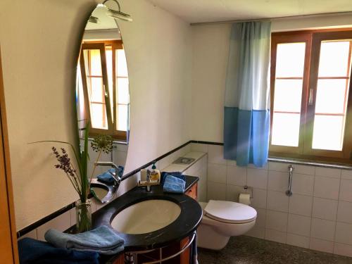 ein Badezimmer mit Waschbecken, Toilette und Spiegel in der Unterkunft Chalet Ried Naturpark Diemtigtal in Diemtigen