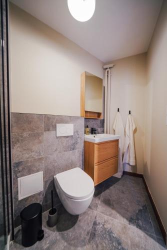 a bathroom with a toilet and a sink at Studio Arclusaz by ExplorHome in Albertville