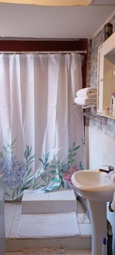a bathroom with a shower curtain and a sink at KositasRikas B&B in Viña del Mar