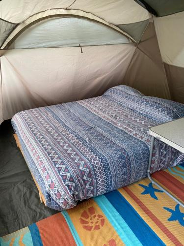 a bed in a tent with a blanket at Glamping Mañihueico in Contao