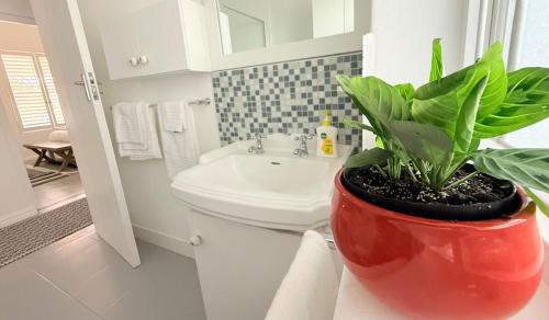 a bathroom with a red pot with a plant on a counter at Crescent House in Franschhoek