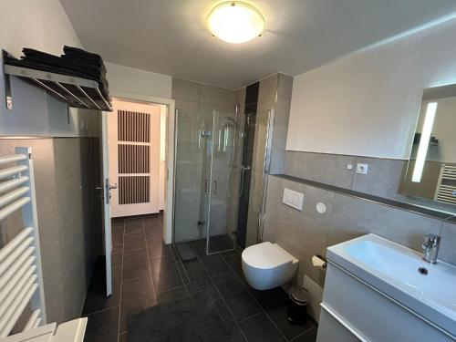 a bathroom with a toilet and a shower and a sink at Ferienwohnung im Hasenwieschen in Kaisersesch