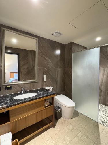 a bathroom with a sink and a toilet and a mirror at 翡秝大飯店 in Beinan