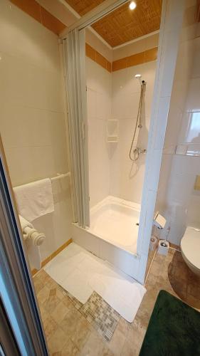 a bathroom with a shower and a toilet at Park Hotel in Hamm