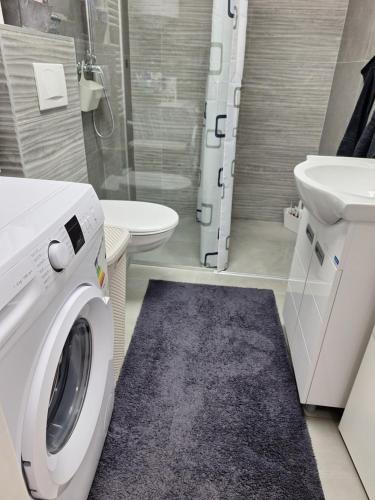 a bathroom with a washing machine and a sink at Apartman ZID in Smederevska Palanka