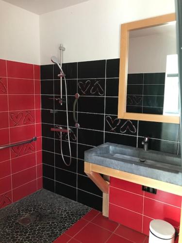 a bathroom with a shower and a sink and a mirror at Lapin in Lesquin
