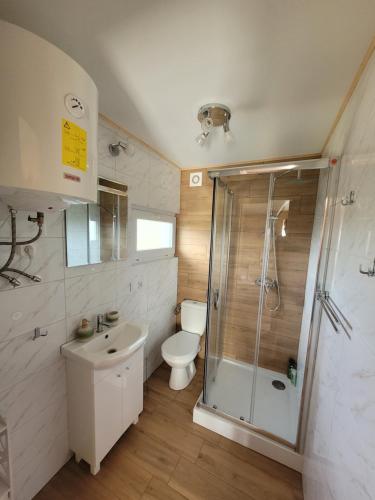 a bathroom with a shower and a toilet and a sink at Domek nad Gopłem in Połajewek