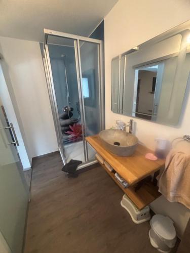 a bathroom with a sink and a large mirror at Appartement Wanneck in Biberwier