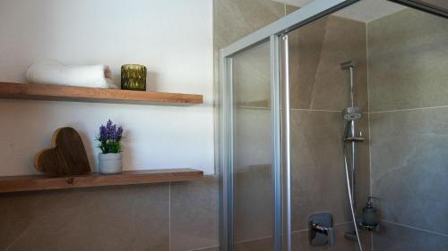 a shower stall with a glass door in a bathroom at Landhaus Schmitte in Biberwier