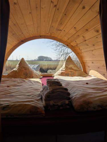 a couple of beds in a tent with a window at Der Apfel in Holtgast