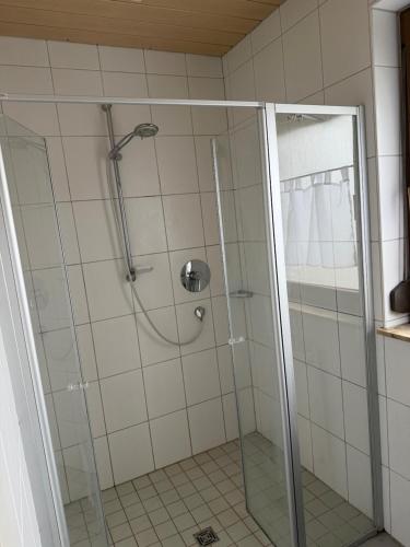 a shower with a glass door in a bathroom at Ferienwohnung Landleben in Bühlertann