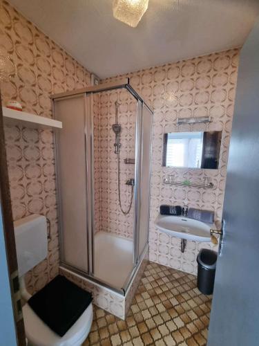 a bathroom with a shower and a toilet and a sink at Stadtblick Bischofsheim in Bischofsheim an der Rhön