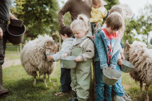 a group of children standing around a group of sheep at Landhoeve in Oosterwolde