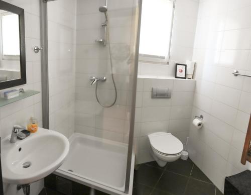 a bathroom with a shower and a sink and a toilet at Apartments Marijin Dvor in Splitska