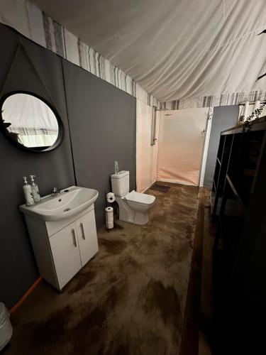 a bathroom with a sink and a toilet and a mirror at Jacil Riverside Accommodation in Hekpoort