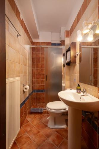 a bathroom with a toilet and a sink and a shower at Mikri Arktos in Elati