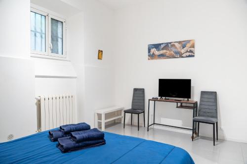 Lion Renting Vatican Apartment